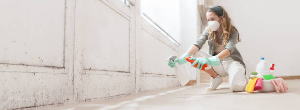 Mold Remediation for Vacation Homes